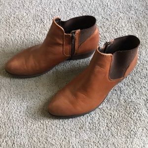 Steve Madden ankle boots